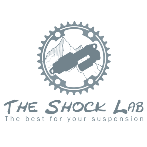 The Shock Lab 500x500